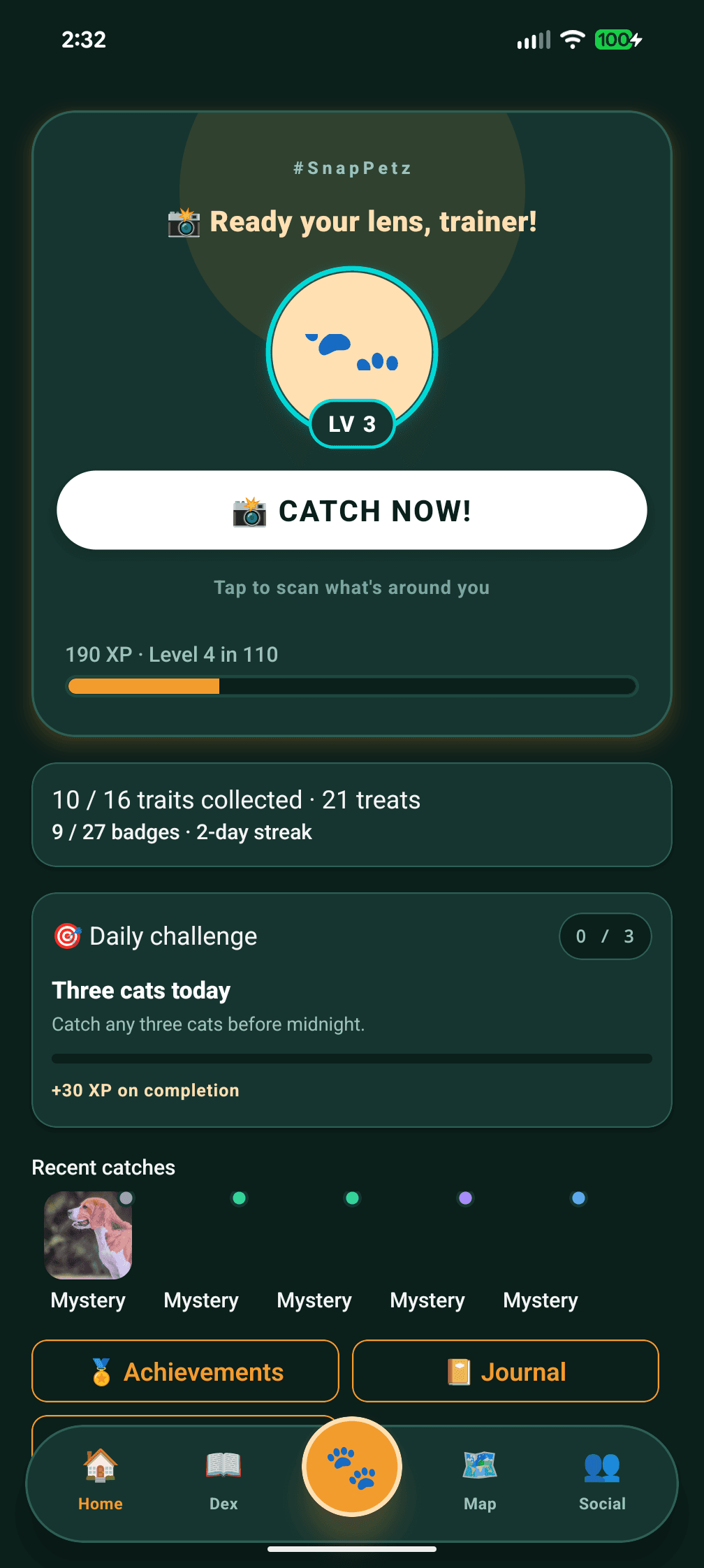 SnapPetz Home screen, Daily challenge, streak, recent catches, and the CATCH NOW button, the first thing you land on after opening the app.
